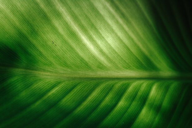 Morgan Stanley planea despedir a 3,000 trabajadores