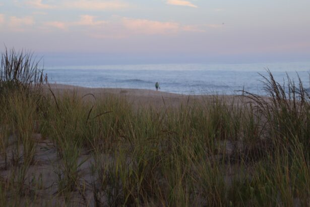 IMCED publica convocatoria para estudiantes de nuevo ingreso