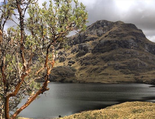 La Corte de Ecuador rechaza demandas contra la ‘muerte cruzada’ de Lasso