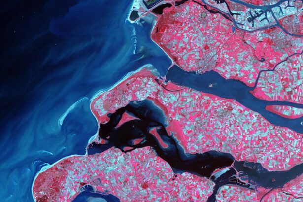 El Inegi ve aumento en la actividad económica