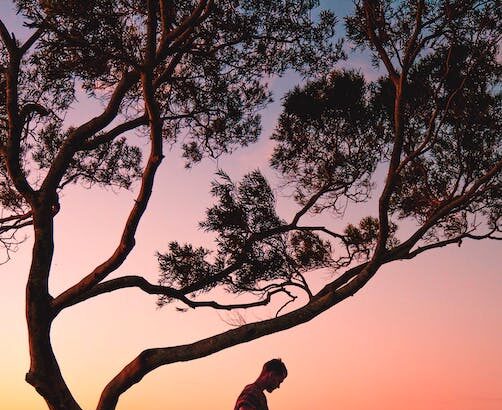 Meta recibe multa récord de 1,300 MDD por transferir datos de usuarios