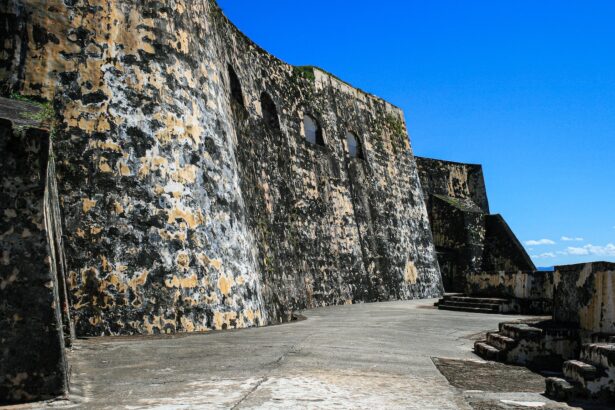 La ‘Reina del Pacífico’ acusa a Felipe Calderón de vínculos con el crimen organizado