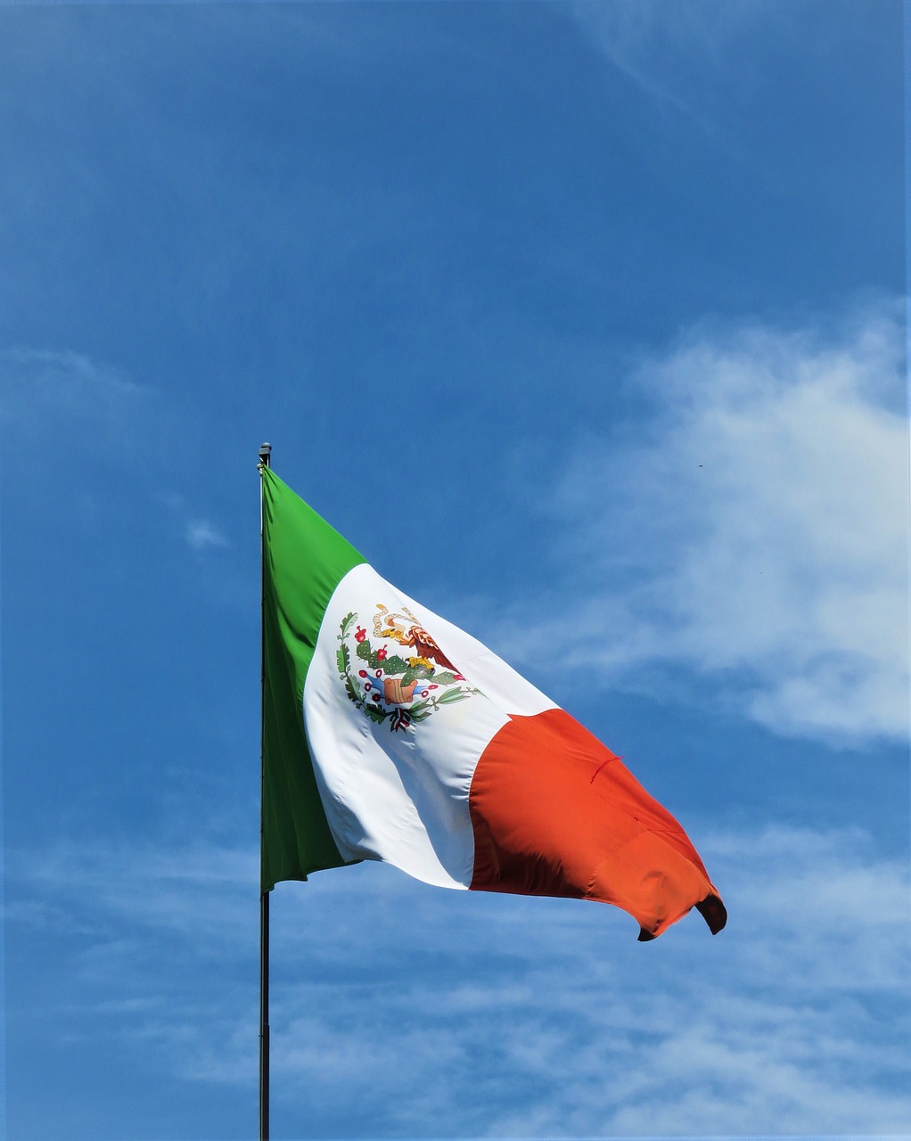 2. El papel del pueblo en el proceso electoral mexicano