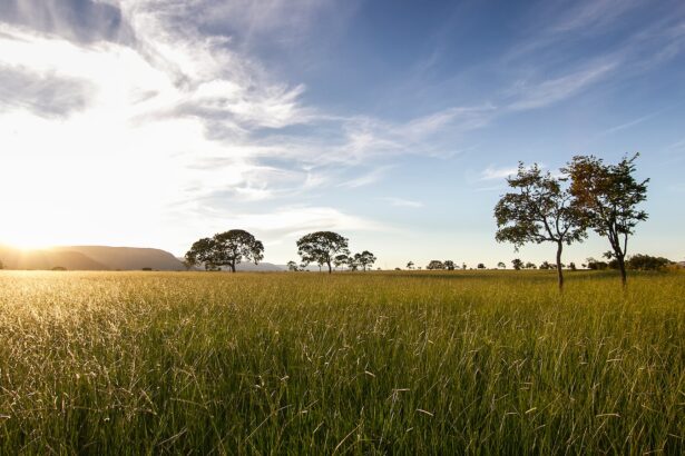 Lula dice que Brasil ya no tiene el mejor fútbol del mundo