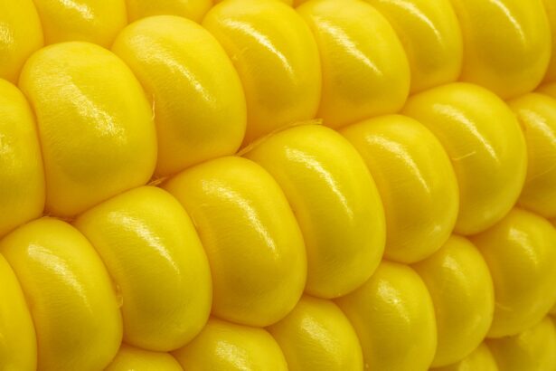 No aumentarán precios de garantía de maíz, trigo y sorgo: López Obrador