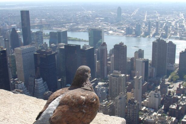 Estos son los videojuegos más importantes del verano