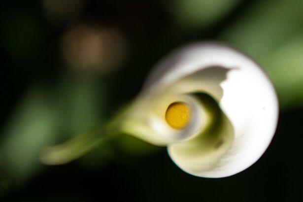 Diego Cocca se pronuncia tras goleada de Estados Unidos | Declaraciones