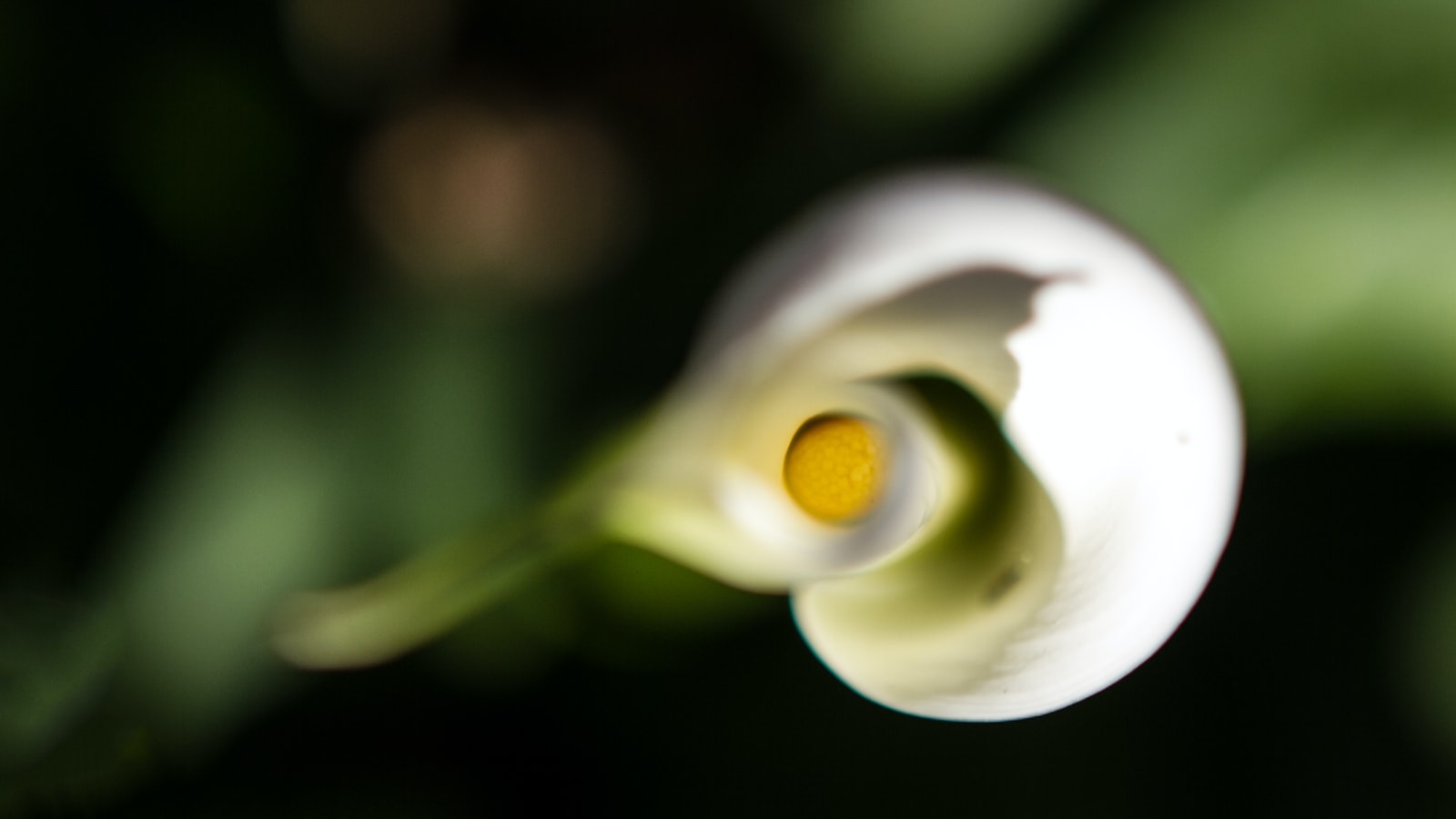 Diego Cocca se pronuncia tras goleada de Estados Unidos | Declaraciones