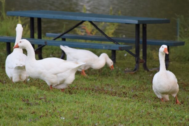 Ofrecieron taller “Autonomía Económica y Toma de Decisiones”