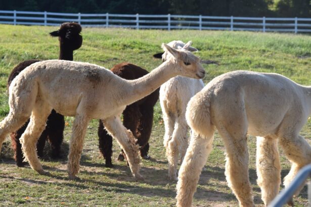 Eduardo Santamarina orgulloso de su esfuerzo y profesión