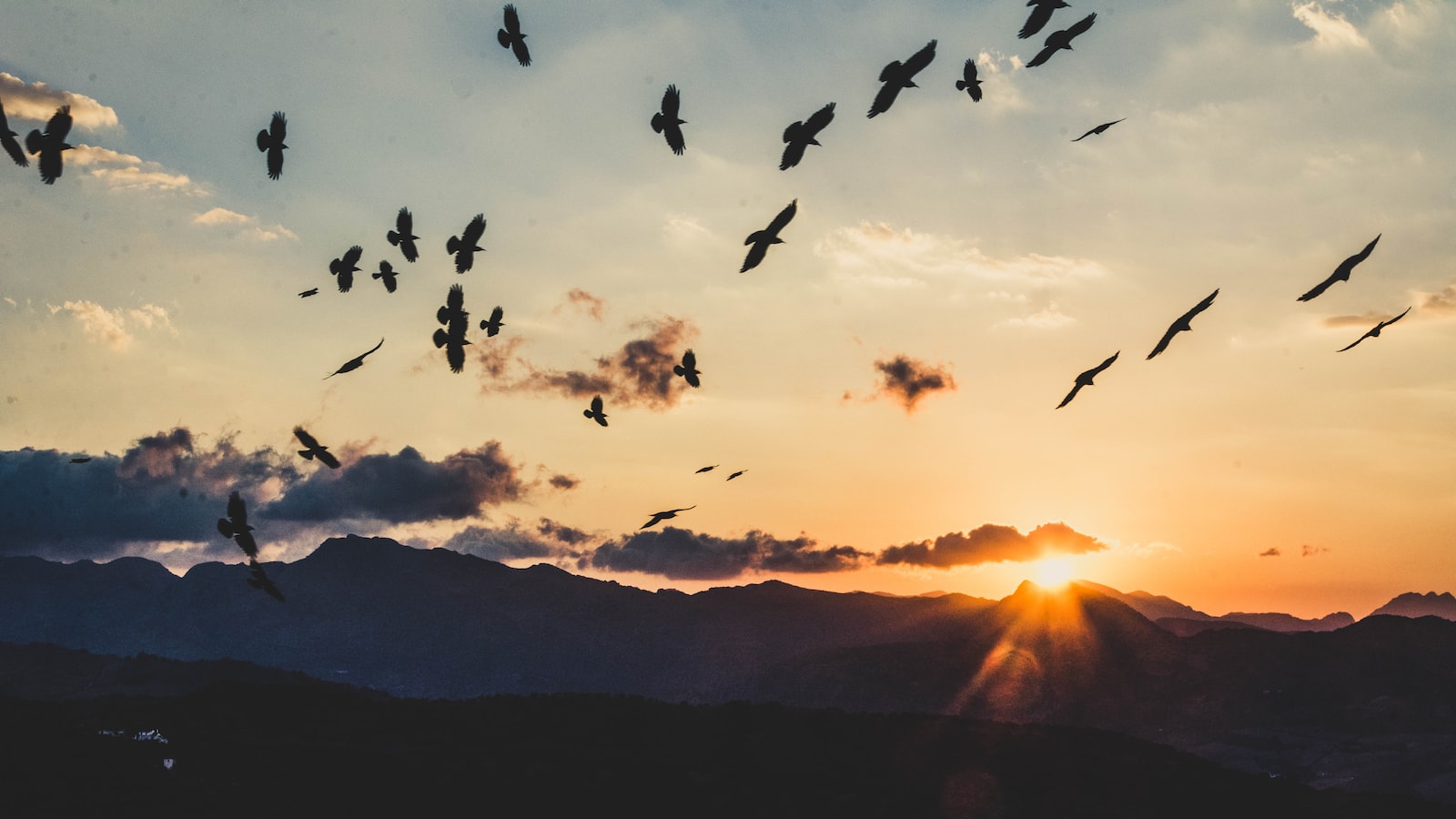 Aprende Institute levanta ronda de 22 mdd y apuesta por un canal educativo en EU