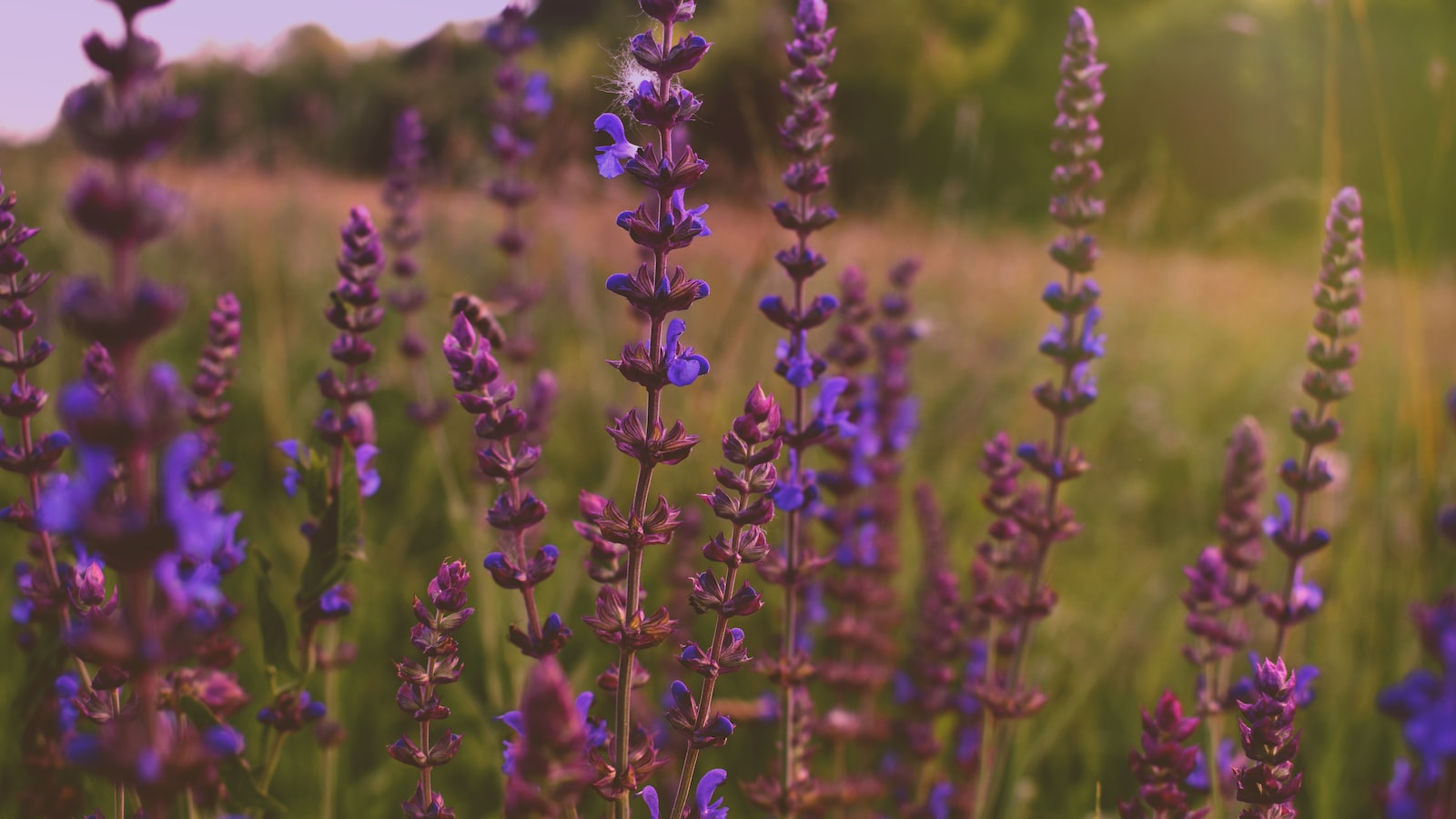 Huracán “Otis “sorprende y alcanza categoría 2; podría ser 3 hoy mismo