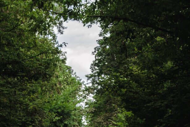 BeGo busca integrar un mercado hiperfragmentado: El transportista